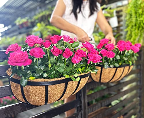 Lalagreen Wall Planters - 16 Inch, 2 Pack Deck Railing Planter Boxes For Outdoor Plants, Window Flower Box With Coco Liners Metal Horse Troughs Fence Balcony Garden Herb Pot Patio Porch Over Rail #TOP5