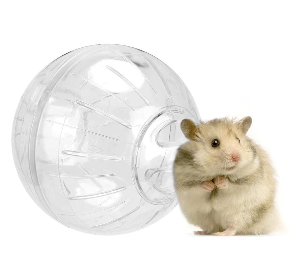 Western Era Hamster Exercise Ball Transparent, Attractive & Training ... - Hamster Precision Target Training For Hamsters