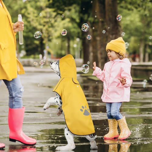 Regenjacke Hund mit Kapuze, Wasserdicht Hunderegenmantel mit Reflektierenden Streifen, Verstellbar Regenmantel Hund, Ultraleicht für große mittlere kleine Hund für Spaziergänge, zum Spielen (M | Gelb)