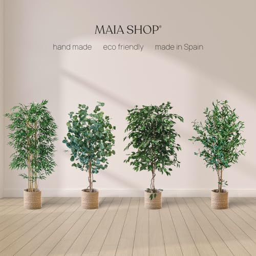 Maia Shop Ficus, Artificial Tree with Natural Trunks, Made with The Best Materials, Ideal for Home Decoration, Artificial Plant 6 feet Tall - 71 inches