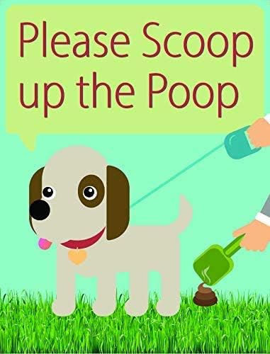 dog poop solutions