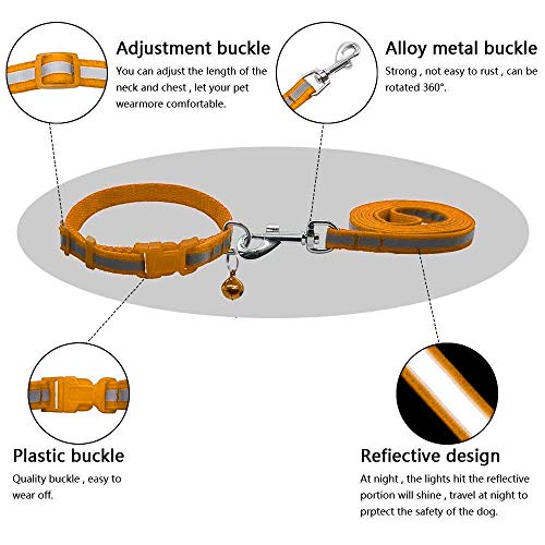 Image of The Pets Company Reflective Leash Collar Set for Medium Dogs, 4 Feet 20 MM, Orange