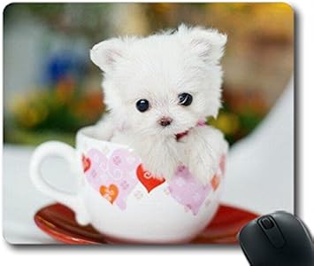 cute cup dogs