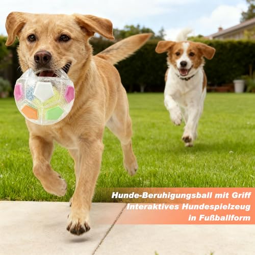 BSOON The Mellow Dog Calming Ball, Anti Stress Ball Hund, Hundeball mit Handle, Antistressball Hund, Interaktives Hundespielzeug Balls, für kleine, mittelgroße und große Hunde (Weiß)