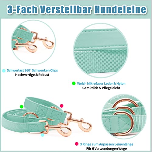 Weich Leder Hundehalsband und Leine (2m) Set - 3-Fach Verstellbar Hundeleine mit Halsband, Stilvollen Rose Gold Metall Schnalle & Nylon Hund Leinen für Welpen Kleine Mittlere Große Hunde Grün,M