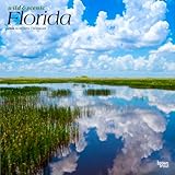 Florida Wild & Scenic | 2026 12 x 24 Inch (Hanging) Monthly Square Wall Calendar | Plastic-Free | BrownTrout | USA United States of America Southeast State Nature