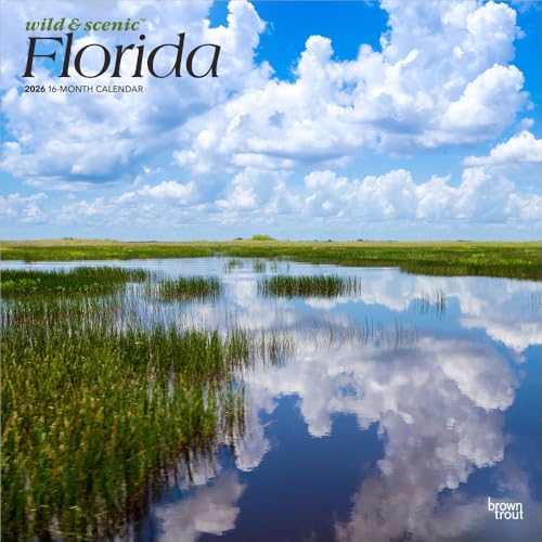 Florida Wild & Scenic | 2026 12 x 24 Inch (Hanging) Monthly Square Wall Calendar | Plastic-Free | BrownTrout | USA United States of America Southeast State Nature
