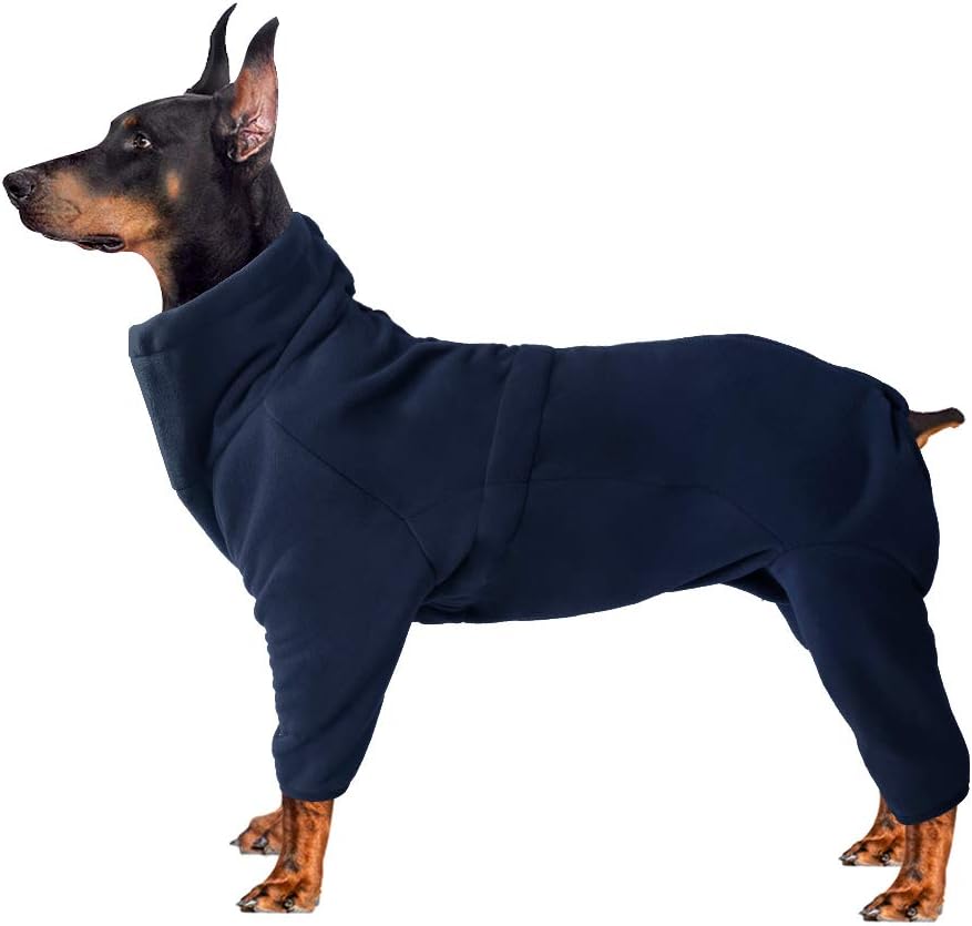 Dreamls Pet Clothes - Image 3