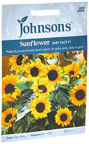 Johnsons 12258 Flower Seeds, Sunflower Baby Face F1, Yellow