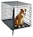 Large Dog Crate | MidWest Life Stages Folding Metal Dog Crate | Divider Panel, Floor Protecting Feet, Leak-Proof Dog Tray | 42L x 28W x 31H Inches, Large Dog