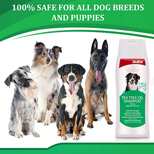 Bioline Dog Shampoo with Tea Tree Oil for Dogs Itchy Skin Sensitive Skin Shampoo for Smelly Dogs Bathing Supplies Odor… - Image 7