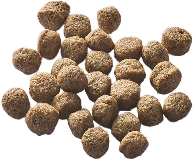 ハーベスト メンテナンス ラム 6kg 大粒 2袋【150g缶詰 1缶プレゼント】