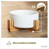 Ver la foto 2