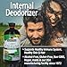Nature's Answer Liquid Chlorophyll, 100 mg, 16 fl oz (480 ml)