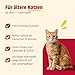 animonda Carny Katzen Nassfutter Senior Rind + Huhn + Käse (6 x 200g), Katzenfutter nass ohne Getreide ohne Zucker für Katzen ab 7 Jahren mit frischen und fleischigen Zutaten