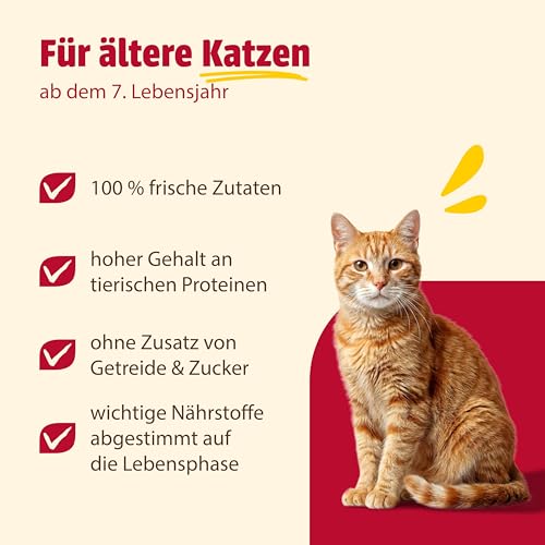 animonda Carny Katzen Nassfutter Senior Rind + Huhn + Käse (6 x 200g), Katzenfutter nass ohne Getreide ohne Zucker für Katzen ab 7 Jahren mit frischen und fleischigen Zutaten