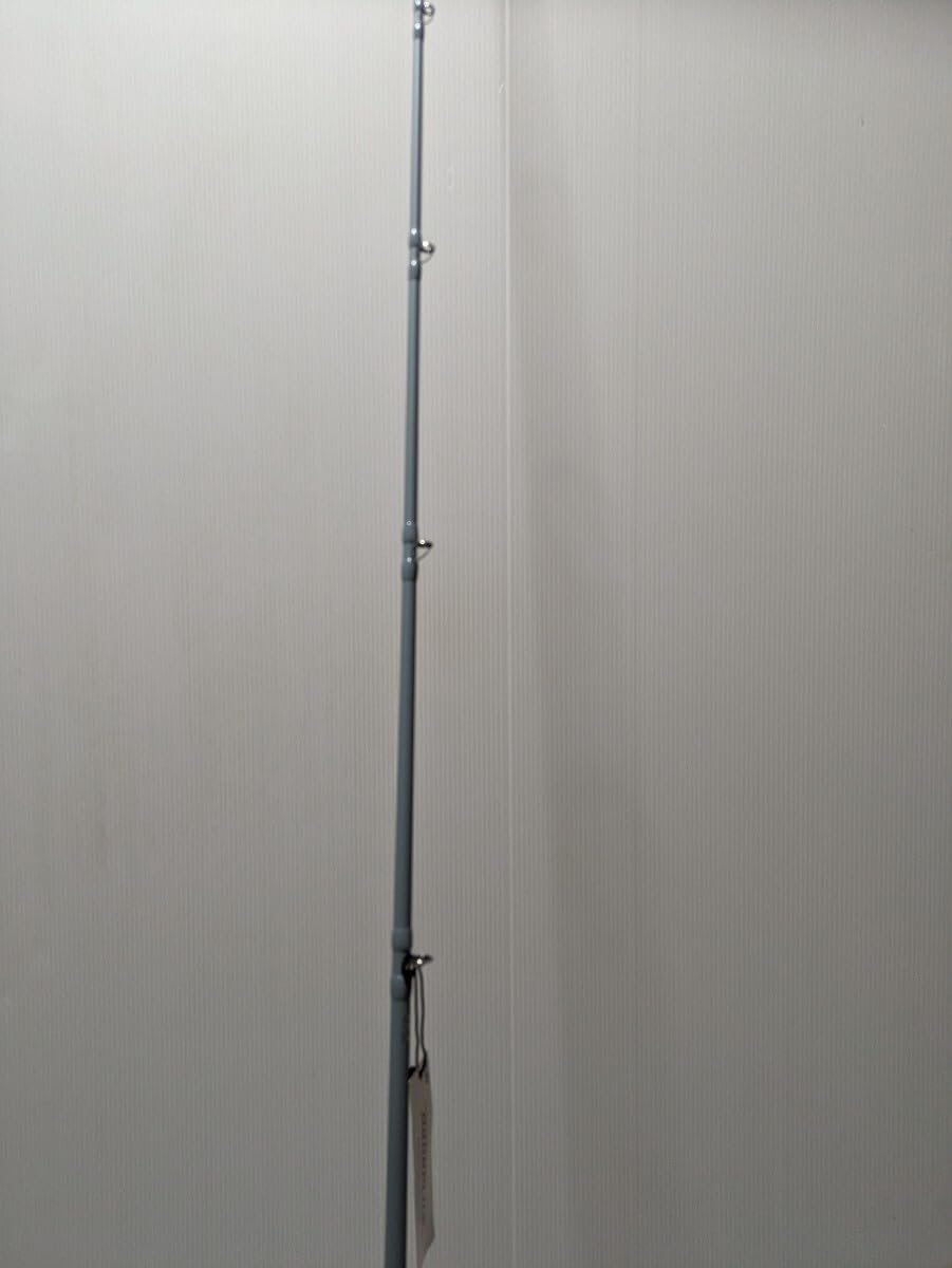 DAIWA SWAGGER テクニカルフロッギングスペシャル C65MH-FR ダイワ