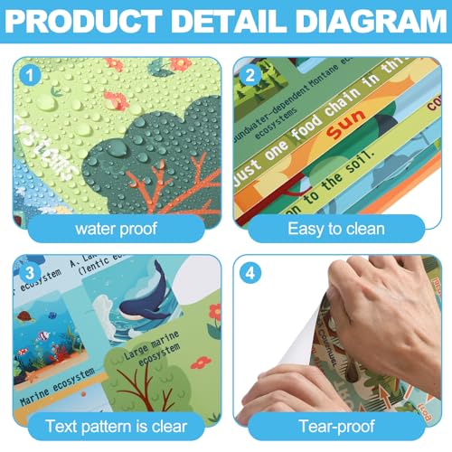 Image of Pasimy 11 Pcs Science Biology Posters Classroom Ecosystems Teaching Poster Ecosystems Biological Food Chain Bulletin Board for Classroom Decoration Teacher Middle High School Educational Library Home