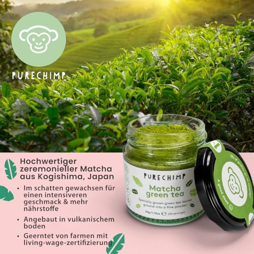 PureChimp Ceremonial Matcha 100 g. 100% reines Tee Pulver aus Schattenanbau für Latte, Aufgüsse & Rezepte. Kompostierbarer Beutel. Reich an Antioxidantien.
