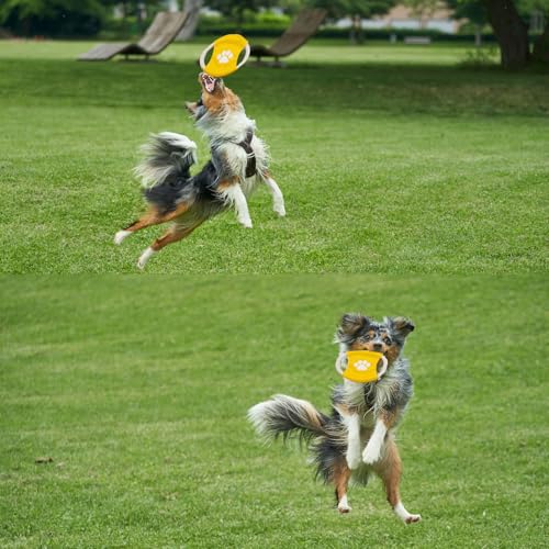 ESYFOR Frisbee Hund, 4 Stück Hundefrisbee Natürliches Baumwolle Hunde Frisbee Helles Interessant Hundespielzeug Frisbee für Hundetraining,Werfen,Fangen und Spielen