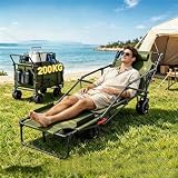 SHAHRYAR Carrello Pieghevole 2-in-1 e Sedia da Spiaggia Green