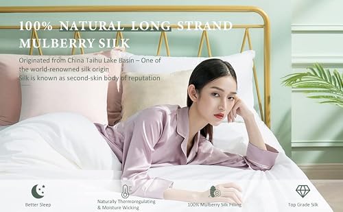 Thxsilk Summer Silk Comforter With 300Tc Cotton Shell, Silk Filled Comforter, Silk Quilt, Silk Duvet -Ultra Soft, Light Weighted- 100% Top Grade Silk, Twin Size #TOP5