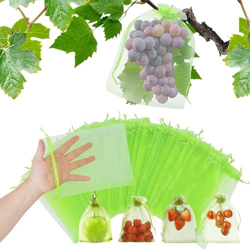 100 Bolsas Protectoras Para Uvas, 15 x 10 CM, Con Cordón, Para Frutas, Frutas, Bolsas De Protección Para Frutas, Bolsas De Malla Para Jardín, Avispas, Pájaros, Caracoles, Moscas De Vinagre De Cereza Y
