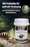 Aqua-Tropica Raubschnecken-VITAL – Spezialfutter für Raubschnecken (Anentome Helena) – proteinreiches Schneckenfutter für Aquarium, artgerechte Ernährung (35 g)