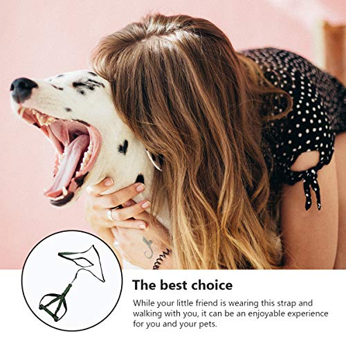 Fantasias Tehaux para cães de estimação - 1 peça de corda de tração para animais de estimação com es