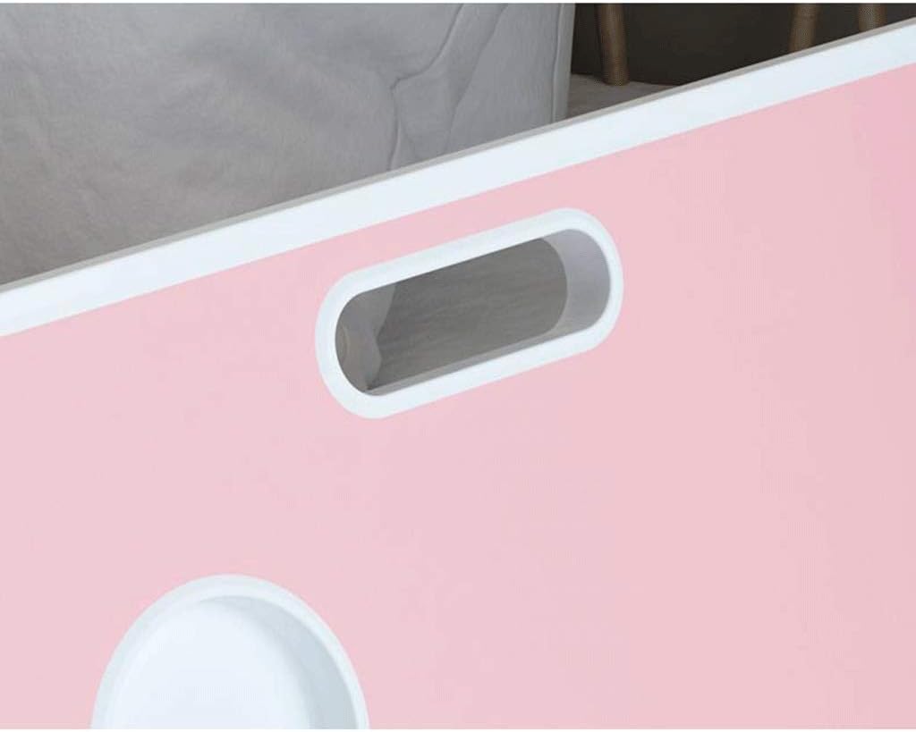 和胡弓（紅木材） 胴花梨材 竹弓馬毛 トランクケース 付属品 和胡弓