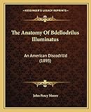  The Anatomy Of Bdellodrilus Illuminatus: An American Discodrilid (1895)