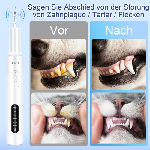 ETACCU Hund Zahnsteinentferner Zahnreinigung mit LED-Licht, 5 Modi Plaque Entferner für Zahnpflege zu Hause und Hunde und Katzen, Hund Zahnstein Entfernen, Weiß