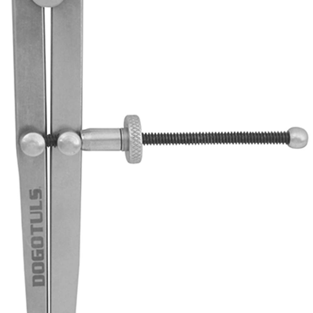 DOGOTULS PUNTA COMPAS 10" Stainless Steel Caliper
