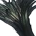 Shekyeon 12-14inch Rooster Tail Feather Used Hats Costume Decoration Pack of 50(Black)