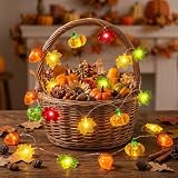 KEPABIGLE 3D Pumpkin, Acorn & Maple Leaf LED String Lights 10FT 30 LED Battery Powered Warm White Fall Decor for Thanksgiving & Halloween