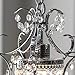 Whse of Tiffany RL4025 Jess Crystal Chandelier, 1 11