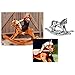 Woodworking Project Paper Plan to Build Merrilegs Rocking Horse