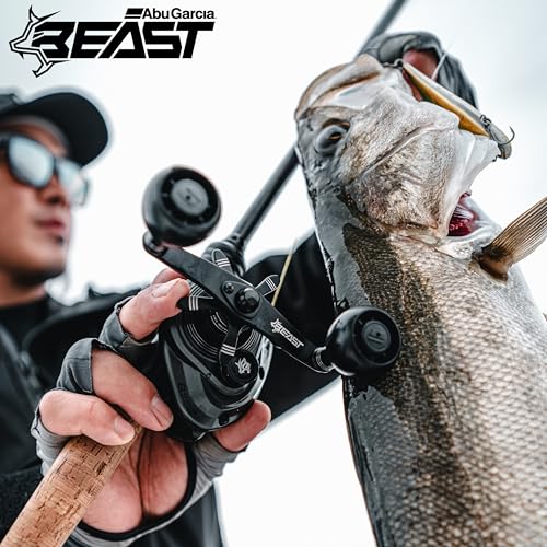 Abu Garcia (アブガルシア) ビースト LP ビースト 300 ベイトリール ロープロ バス ソルト 怪魚 ビッグゲーム 10枚目