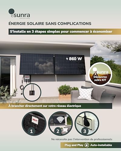 Micro-onduleur NEP BDM800W haute efficacité pour installation solaire