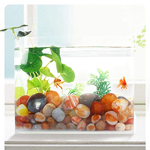 Amazmeet Decorative Polished Round Pebbles, Agate Stone For Plant, Succulent, Aquarium, Terrarium Decoration 4/5 Inch (1.5 Pounds (680G) / Plastic Bucket) #TOP4