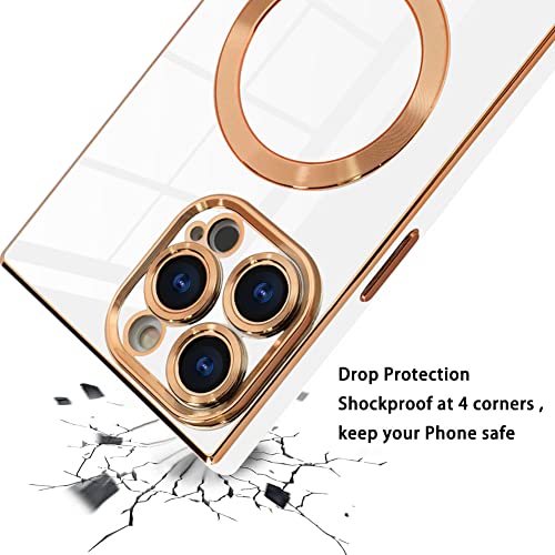 image for OOK Case for iPhone 14 Pro Max [Compatible with Magsafe] Luxury Platin