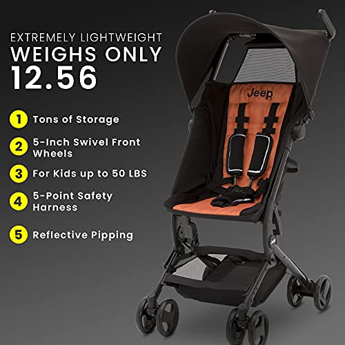 https://m.media-amazon.com/images/I/51o7P9MAzHL._SL500_.jpg