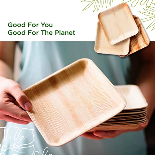 Truly Eco Palm Leaf Plates - Like Bamboo Plates Disposable - Compostable, Biodegradable & Eco Friendly - Appetizer & Dessert Plates For Party - Better Than Paper Plates (20, 6” Square Plates) #TOP5