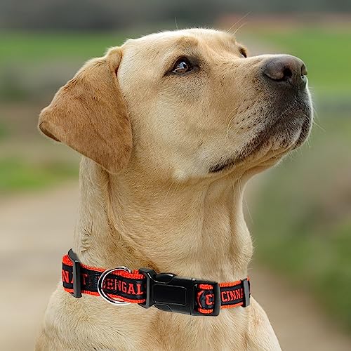 Pets First NFL Cincinnati Bengals Hundehalsband, lizenziert, Größe S, strapazierfähig, robust und langlebig, erhältlich in 31 Fußballmannschaften und 4 Größen