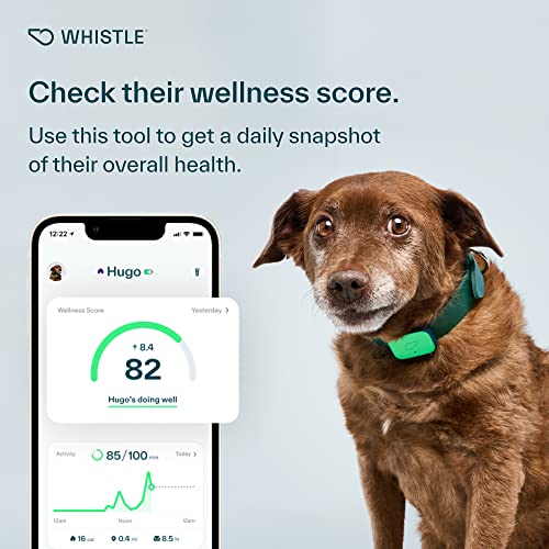 Whistle Health Smart Device | Dog Health and Fitness Tracker | Track Scratching, Licking, Drinking, Eating, Sleeping, and Activity, Green - Thumbnail 7