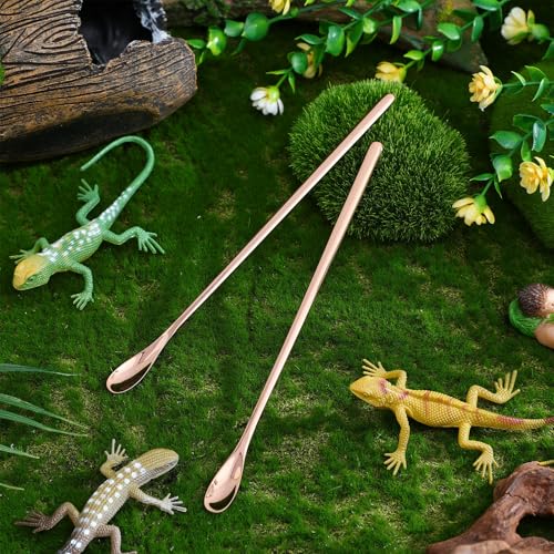 KHBUAB 2 Stück Futterlöffel für Reptilien aus Edelstahl Komfortabler Griff Vielseitig Einsetzbar für Schildkröten und Kleine Haustiere im Terrarium-5