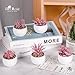 Der Rose Set of 6 Pink Succulents Plants Artificial in Pots Small Fake Plants for Girls Pink Room Decor Office Desk Accessories for Women