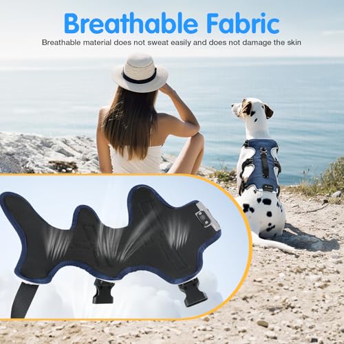 Jewyow Hundegeschirr Leuchtend, Wiederaufladbare LED Hundegeschirr, Led Geschirr für Hunde mit Weicher Griff, 3 Einstellbare Modus, Wasserdicht für Mittelgroße, Große Hund, Blau-L