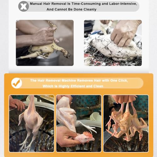Elettrico Pollo Plucker Macchina in Acciaio Inox Pollame Plucker Automatico Heavy Duty Piuma Spennatura Macchina Pollo Turchia Defeathering Machine Equipment