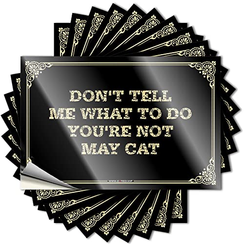Image of Don't Tell Me What to Do You're Not May Cat Man Cave Accessories Alcohol DIY | Snarky Decals Water Removable Vinyl Sticker Decal(6X9CM)